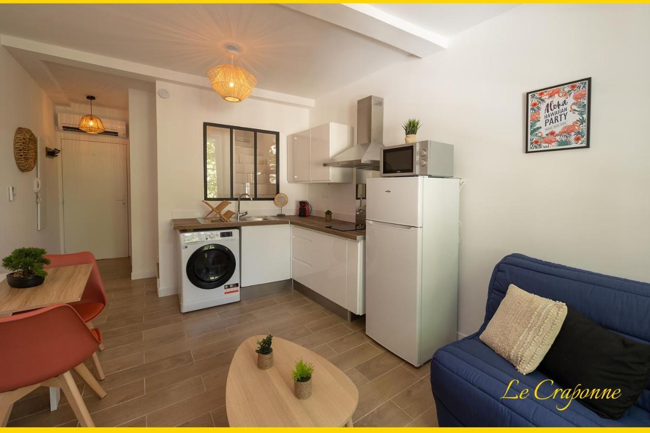 Le Craponne - Magnifique Appartement Cours Principal Plein Centre Avec Parking Salon-de-Provence Eksteriør billede