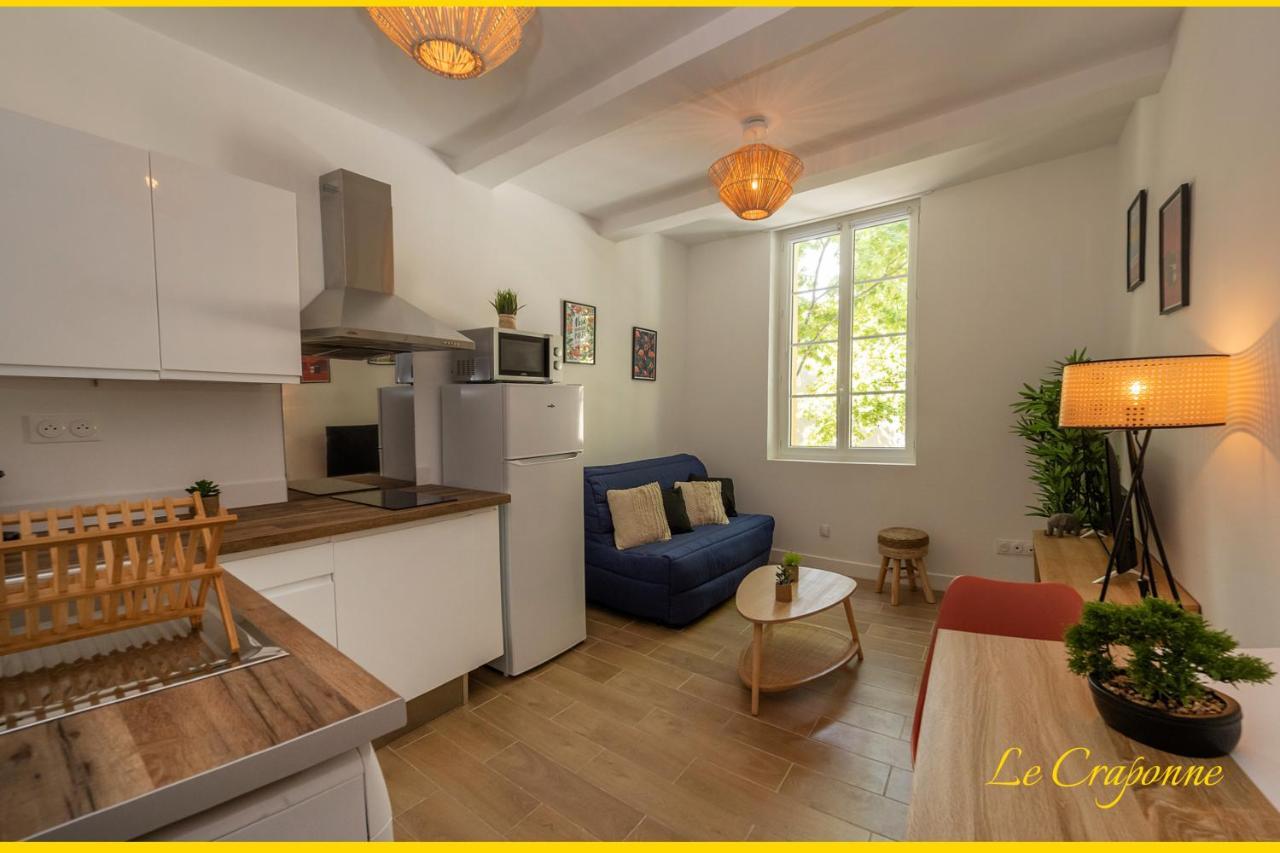 Le Craponne - Magnifique Appartement Cours Principal Plein Centre Avec Parking Salon-de-Provence Eksteriør billede